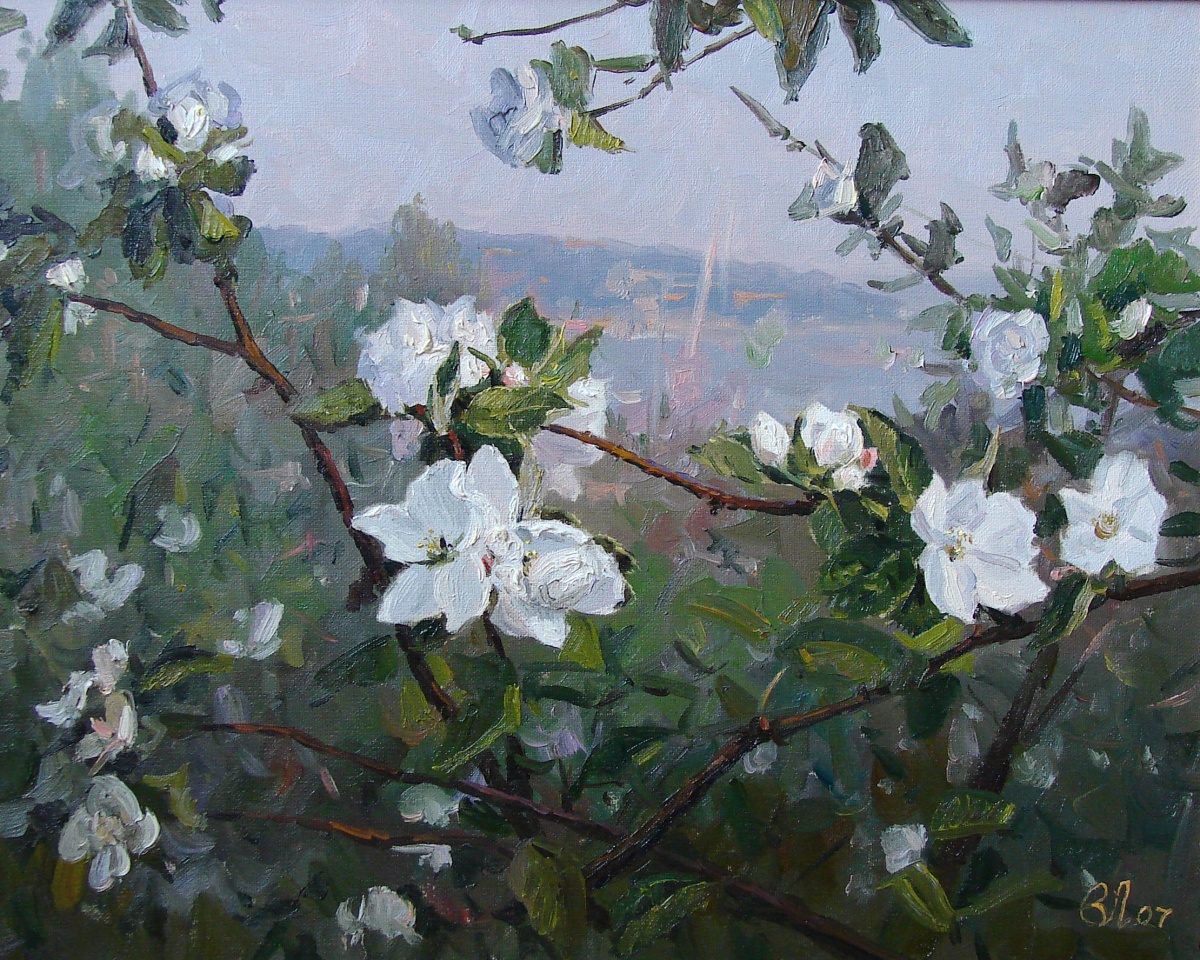 Родная Волга