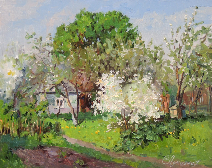 Родная Волга