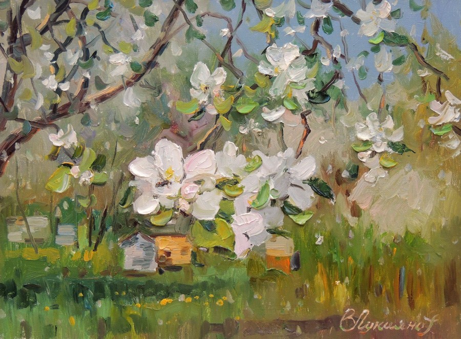 Родная Волга