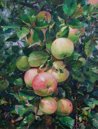 Родная Волга